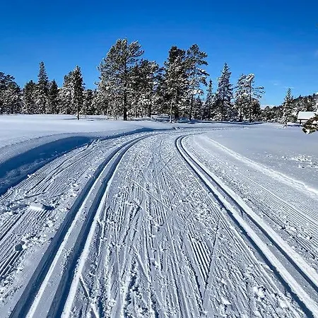 Panoramic Views And Trails In Rauland * Torvetjørn